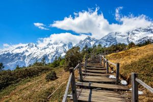 Yak Meadow of Jade Dragon Snow Mountain in Lijiang (5)