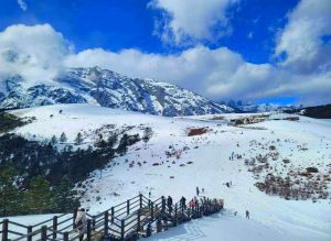 Yak Meadow of Jade Dragon Snow Mountain in Lijiang (7)