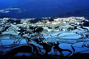 Yuanyang Hani Rice Terraces in Honghe (13)