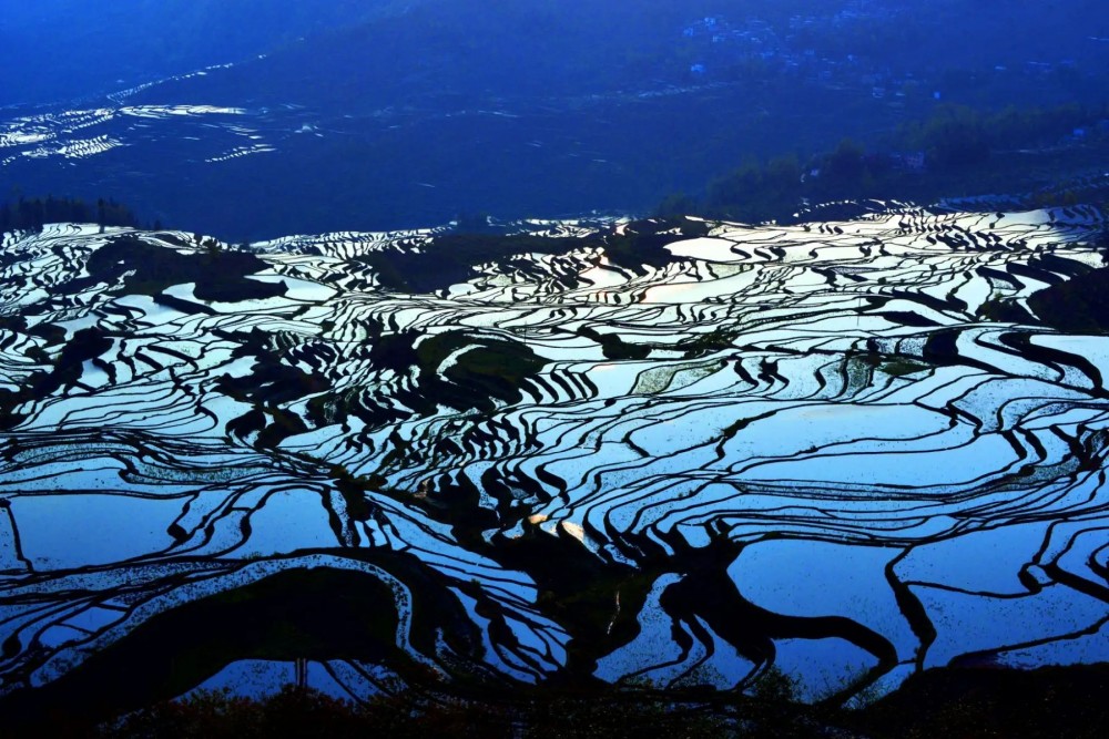 Yuanyang Hani Rice Terraces in Honghe (13)