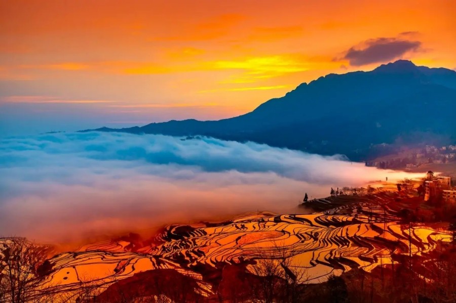 Yuanyang Hani Rice Terraces in Honghe (14)