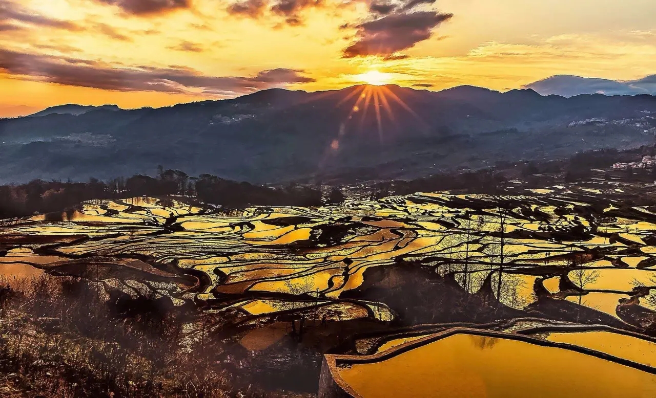 Yuanyang Hani Rice Terraces in Honghe (19)