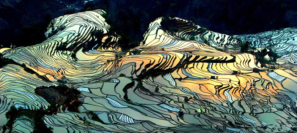 Yuanyang Hani Rice Terraces in Honghe (2)