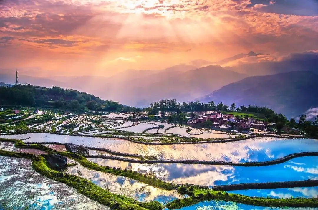 Yuanyang Hani Rice Terraces in Honghe (20)