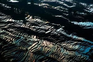 Yuanyang Hani Rice Terraces in Honghe (23)