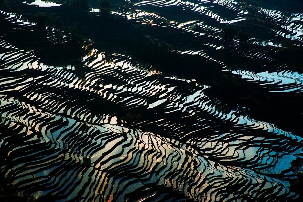 Yuanyang Hani Rice Terraces in Honghe (23)