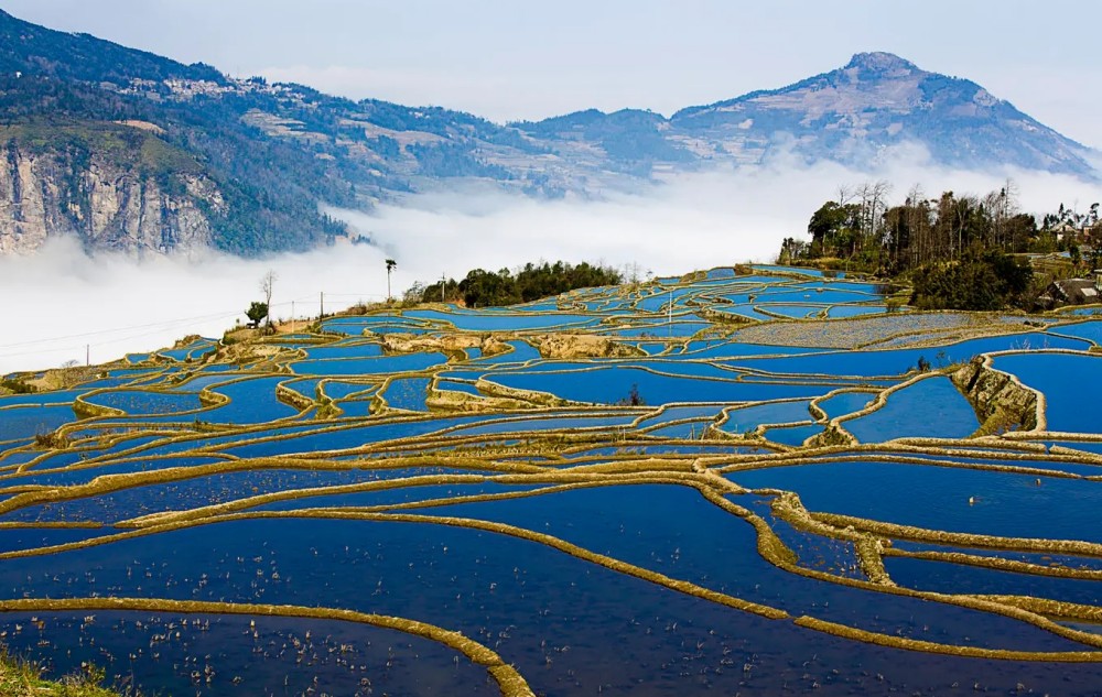 Yuanyang Hani Rice Terraces in Honghe (25)