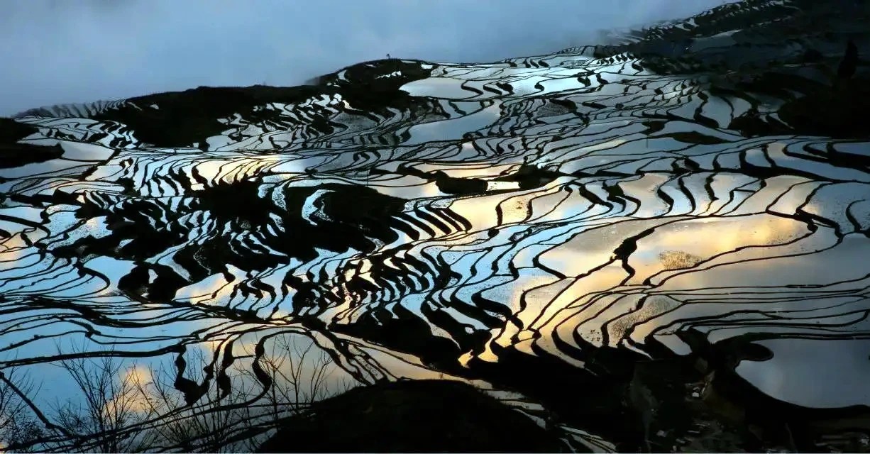 Yuanyang Hani Rice Terraces in Honghe (4)
