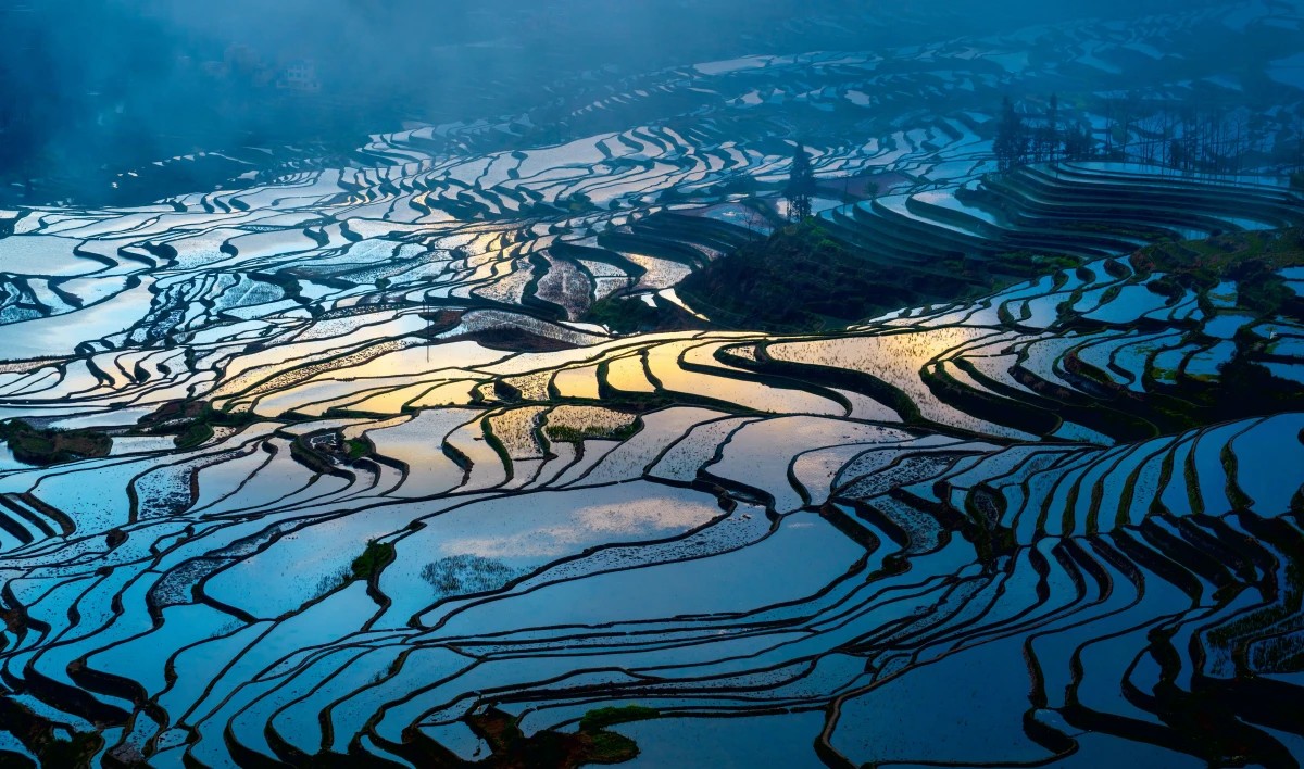 Yuanyang Hani Rice Terraces in Honghe (6)