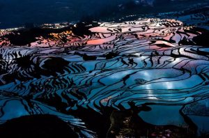 Yuanyang Hani Rice Terraces in Honghe (8)