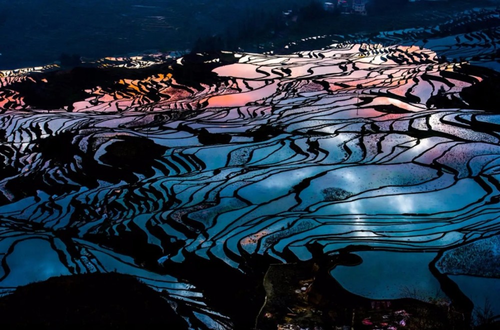 Yuanyang Hani Rice Terraces in Honghe (8)
