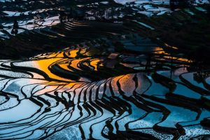 Yuanyang Hani Rice Terraces in Honghe (9)
