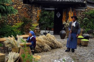 Yuhu-Village-Lijiang-15