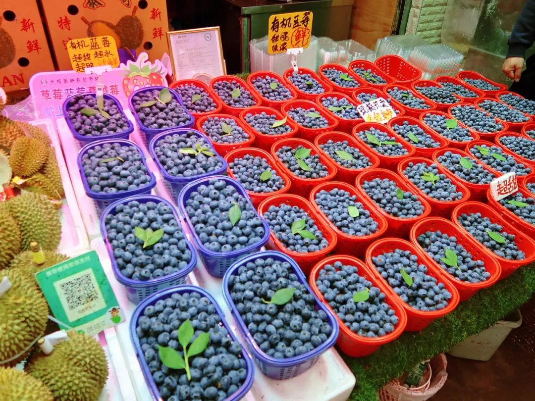 Zhuanxin Farmers' Market in Kunming (3)