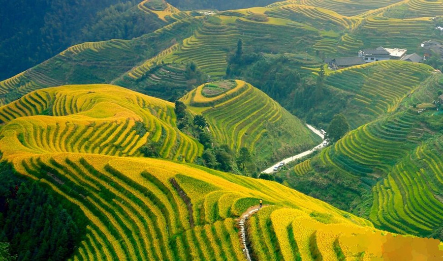 Longsheng-Longji-Rice-Terraces-in-Guilin-02