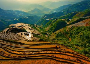 Longsheng-Longji-Rice-Terraces-in-Guilin-12