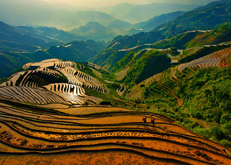 Longsheng-Longji-Rice-Terraces-in-Guilin-12