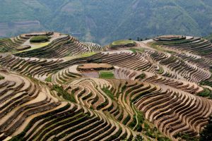Longsheng-Longji-Rice-Terraces-in-Guilin-15