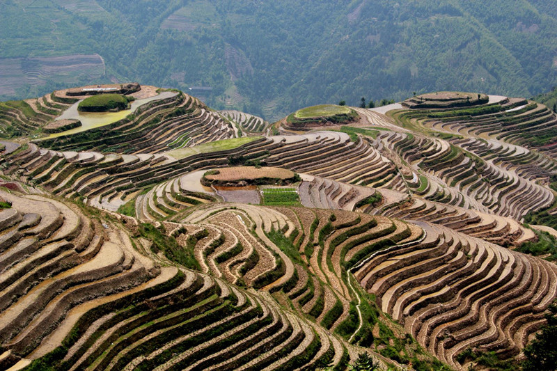 Longsheng-Longji-Rice-Terraces-in-Guilin-15