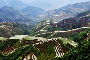 Longsheng-Longji-Rice-Terraces-in-Guilin-23