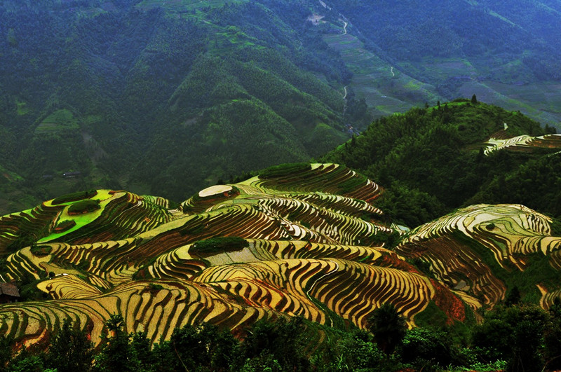 Longsheng-Longji-Rice-Terraces-in-Guilin-24
