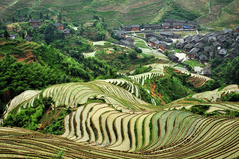 Longsheng-Longji-Rice-Terraces-in-Guilin-25