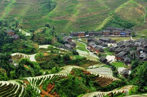 Longsheng-Longji-Rice-Terraces-in-Guilin-26