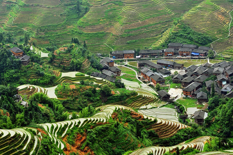 Longsheng-Longji-Rice-Terraces-in-Guilin-26