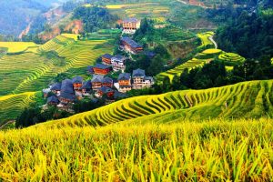 Longsheng-Longji-Rice-Terraces-in-Guilin-29
