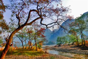 Yangdi-Scenic-Area-in-Yangshuo-County-Guilin-02
