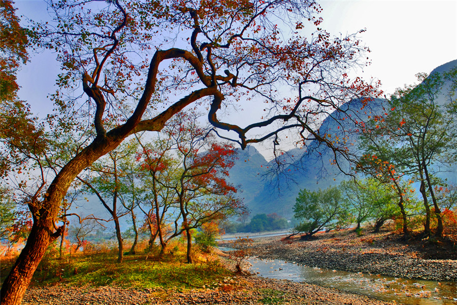 Yangdi-Scenic-Area-in-Yangshuo-County-Guilin-02