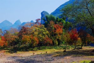 Yangdi-Scenic-Area-in-Yangshuo-County-Guilin-07