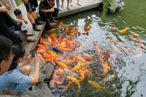 Yuyuan-Garden-in-Shanghai-37