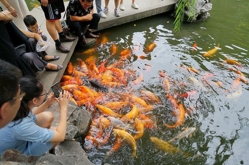 Yuyuan-Garden-in-Shanghai-37