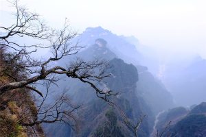 Zhangjiajie-Grand-Canyon-05