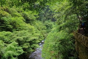 Zhangjiajie-Grand-Canyon-09
