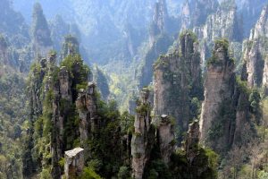Zhangjiajie-Wulingyuan-Scenic-and-Historic-Interest-Area-22