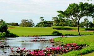 Angkor Golf Resort in Siem Reap10