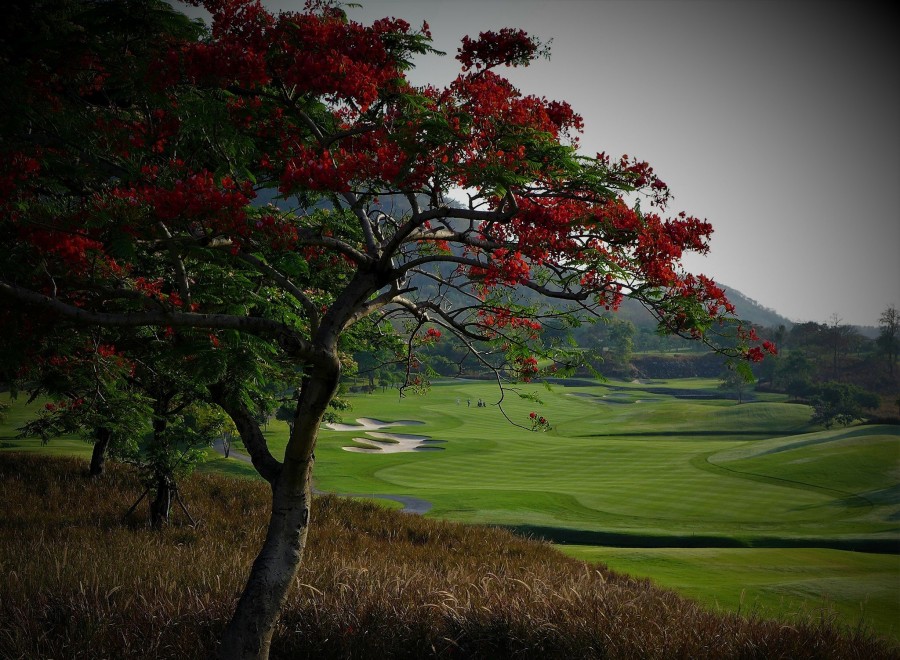 Black Mountain Golf Club in Hua Hin, Prachuap Khiri Khan (3)