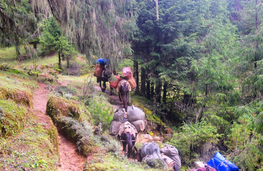 Druk Path in Paro and Thimphu Valleys in Bhutan (6)