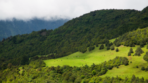 Sakteng Wildlife Sanctuary in Trashigang, Bhutan (6)