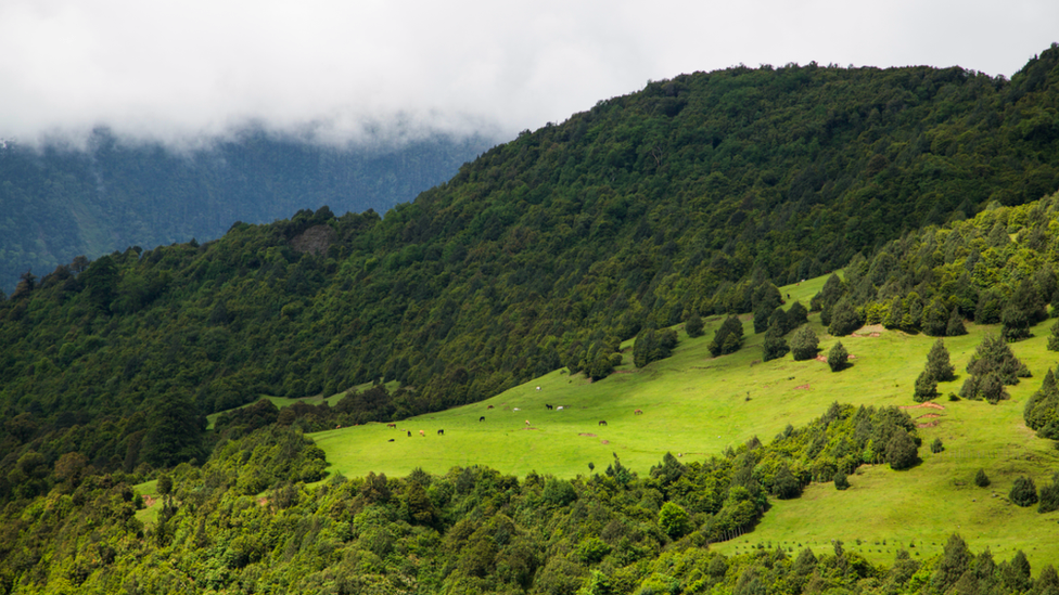 Sakteng Wildlife Sanctuary in Trashigang, Bhutan (6)