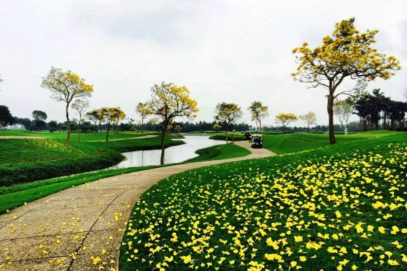 Van Tri Golf Club in Hanoi (2)