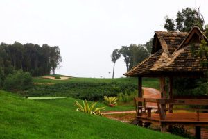 XishuangBanna Wild Elephant Golf Club in Yunnan (9)