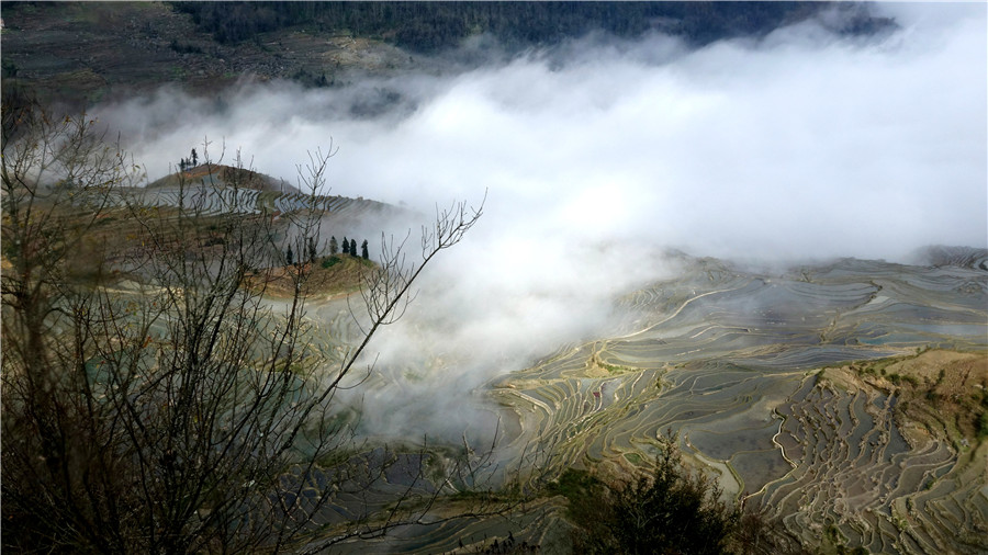 Azheke Rice Terraces in Yuanyang County (1)