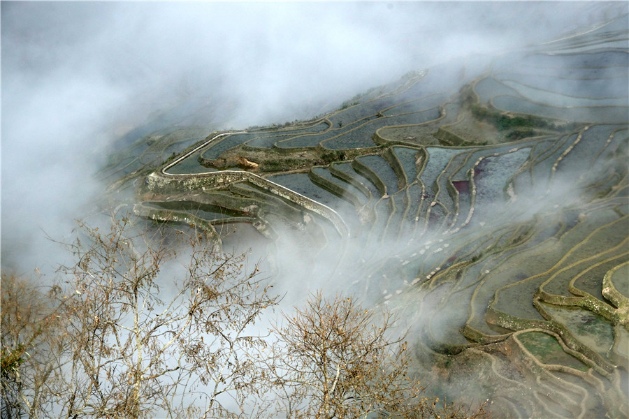 Azheke Rice Terraces in Yuanyang County (16)