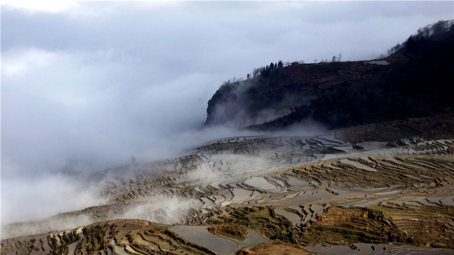 Azheke Rice Terraces in Yuanyang County (17)