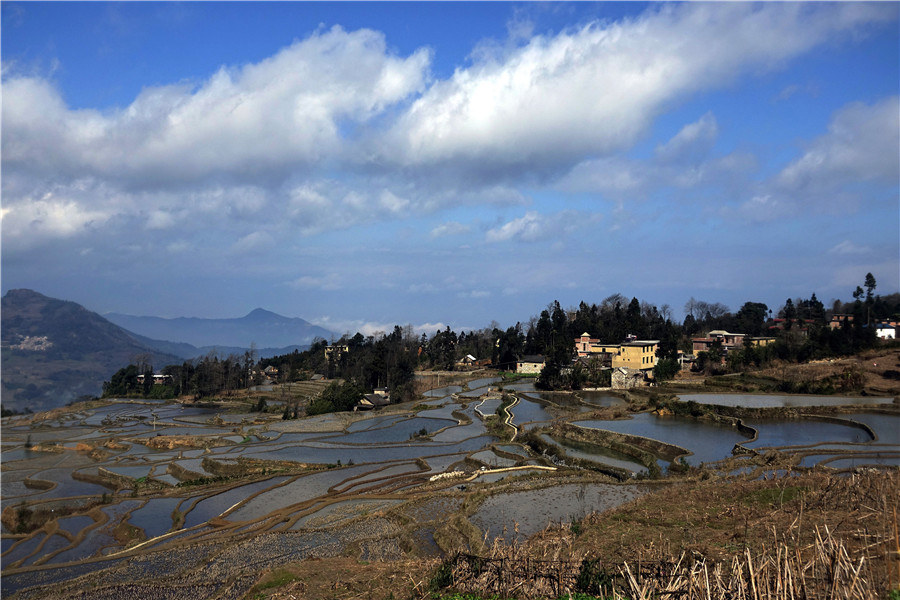 Azheke Rice Terraces in Yuanyang County (3)