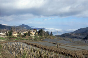 Azheke Rice Terraces in Yuanyang County (4)