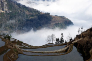 Azheke Rice Terraces in Yuanyang County (6)